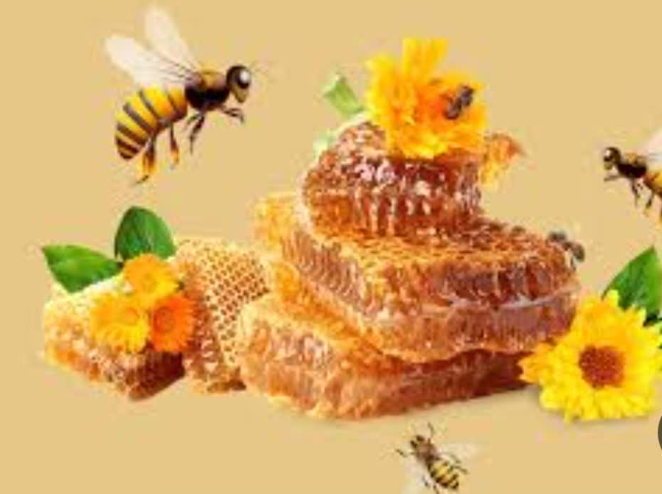 عسل  گون نازگل