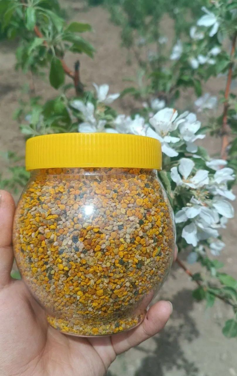 گرده گل نازگل
