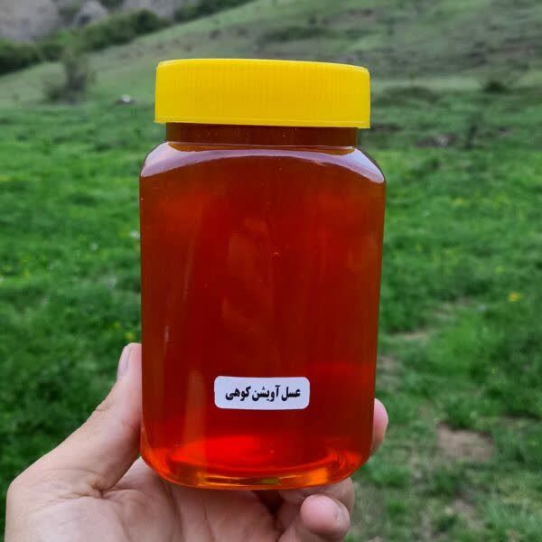 عسل آویشن نازگل