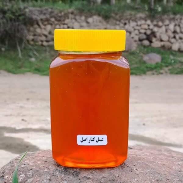 عسل کنار نازگل